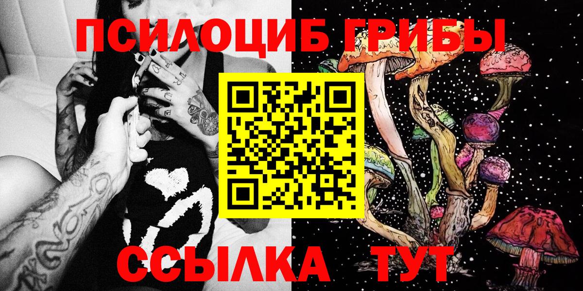 Фурманов  хочу   Вход с VPN  Галлюциногенные грибы GOLDEN TEACHER 